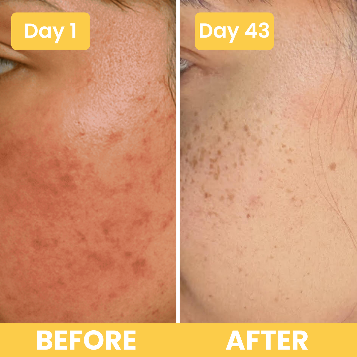 Face Tallow Cream